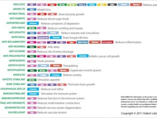 Medicinal Qualities of Terpenes